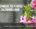 calendario lunar para plantas