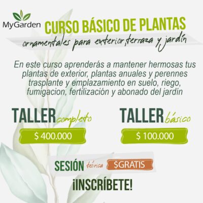 Vivero de plantas y materas a domicilio en Bogotá